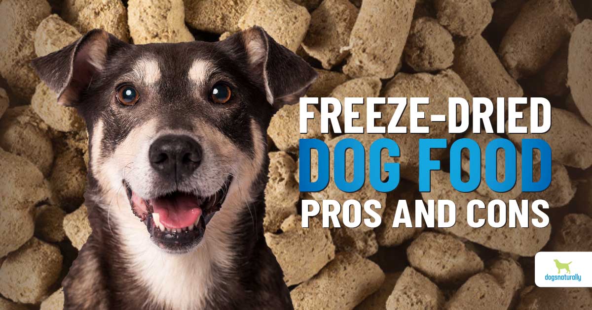 Freeze-Dried Dog Food: The Pros And Cons