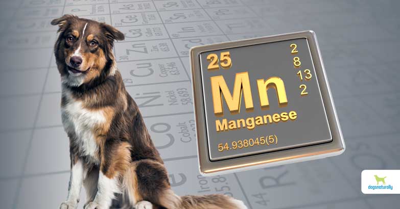 manganese for dogs