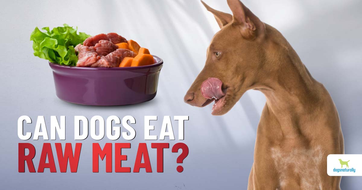 Can Dogs Eat Raw Meat? - Dogs Naturally