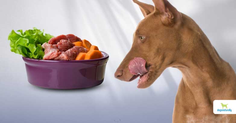 Can Dogs Eat Raw Meat? - Dogs Naturally