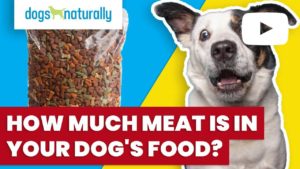 how much meat is in dog food