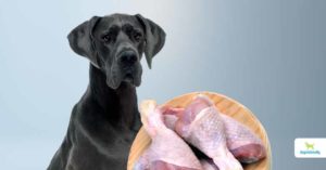 raw chicken for dogs
