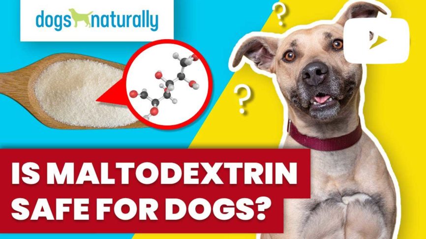 is maltodextrin safe for dogs