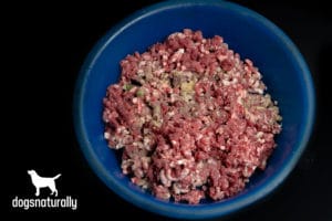 Beef And Broccoli Adult Dog Food Recipe