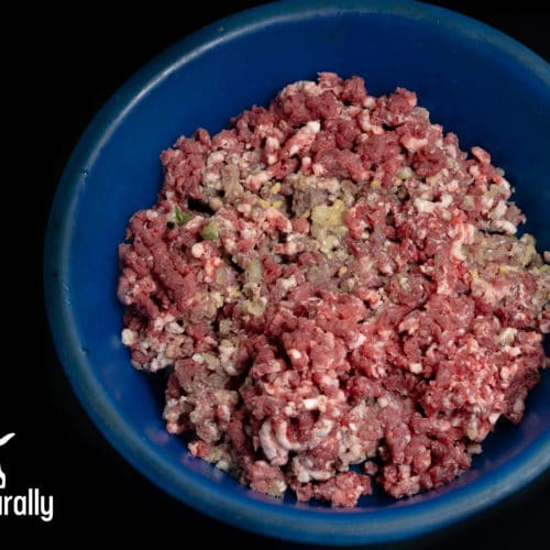 Beef And Broccoli Adult Dog Food Recipe