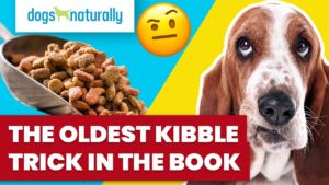 the oldest kibble trick in the book