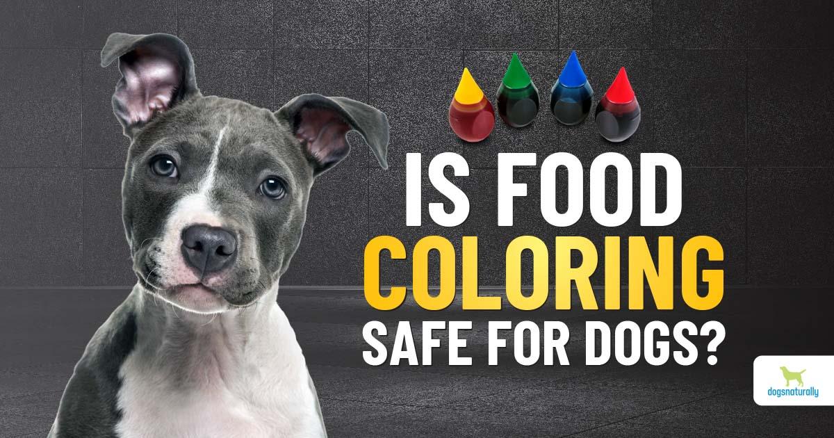 Is Food Coloring Bad for Dogs?