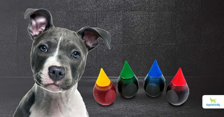 Is Food Coloring Safe For Dogs? - Dogs Naturally