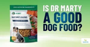 Dr Marty Dog Food Review