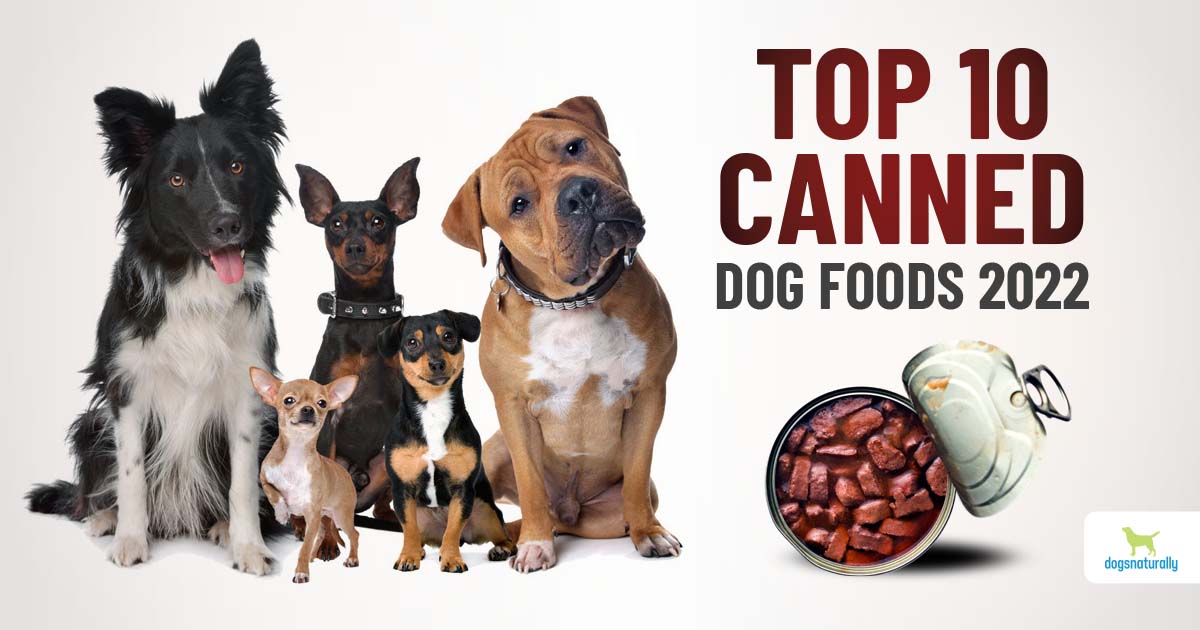 how bad is canned food for dogs
