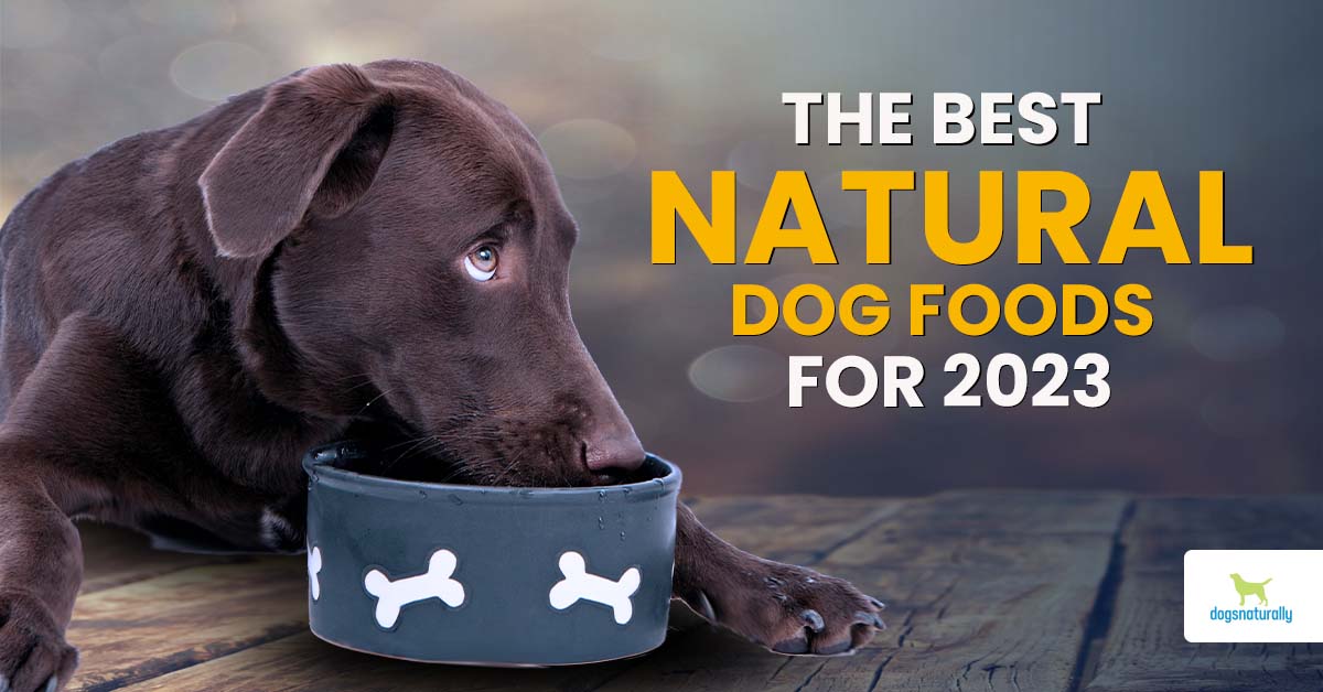 erindringer Forstærke arrangere Top Natural Dry Dog Foods For 2023 - Dogs Naturally