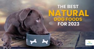Top Natural Dog Foods For 2023