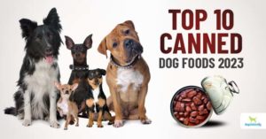 top 10 canned dog foods