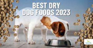 best dry dog foods