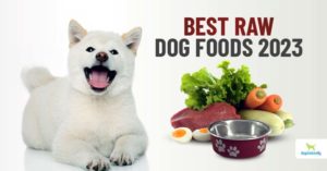 best raw dog foods