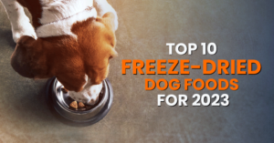 Top 10 Freeze-Dried Dog Foods For 2023