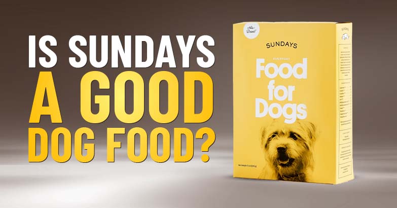 Sundays Dog Food Reviews