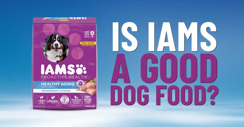 IAMS Dog Food Reviews