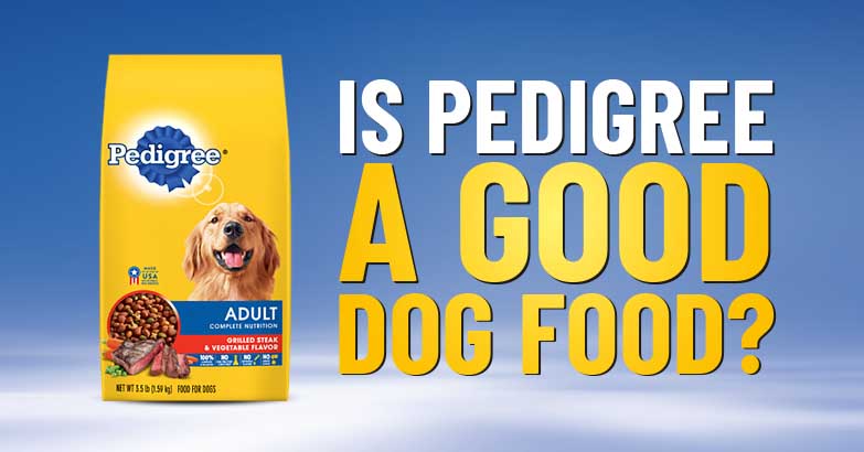 Pedigree Dog Food Reviews