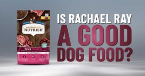 Rachael Ray dog food review