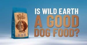 Is Wild Earth a good dog food