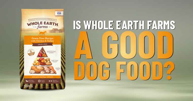whole eartn farms dog food review