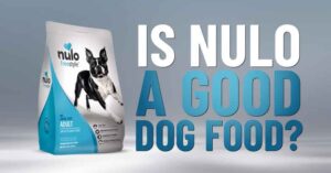 Nulo Dog Food Reviews