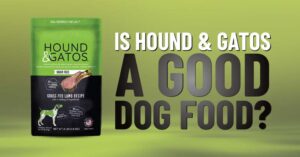 Hound & Gatos Dog Food Review
