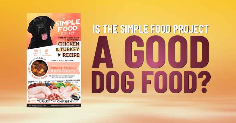 Simple Food Project dog food review