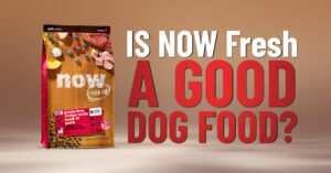 Now Fresh Dog Food Review