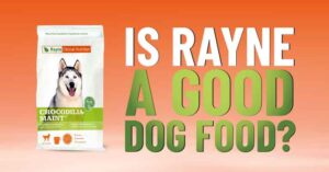 Rayne Nutrition dog food review