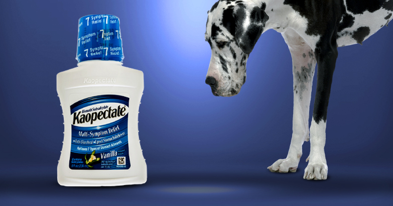 kaopectate for dogs