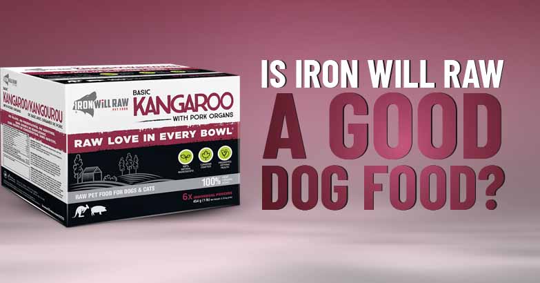 iron will raw dog food review