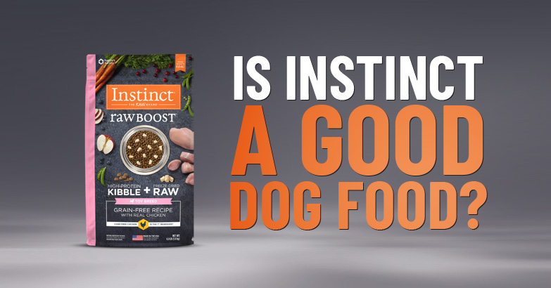 instinct dog food review